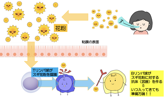 アレルギー薬